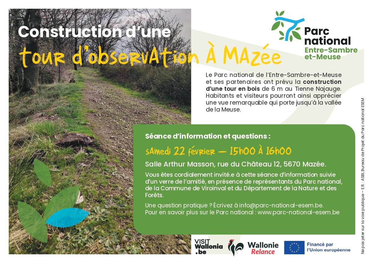 Construction Mazée