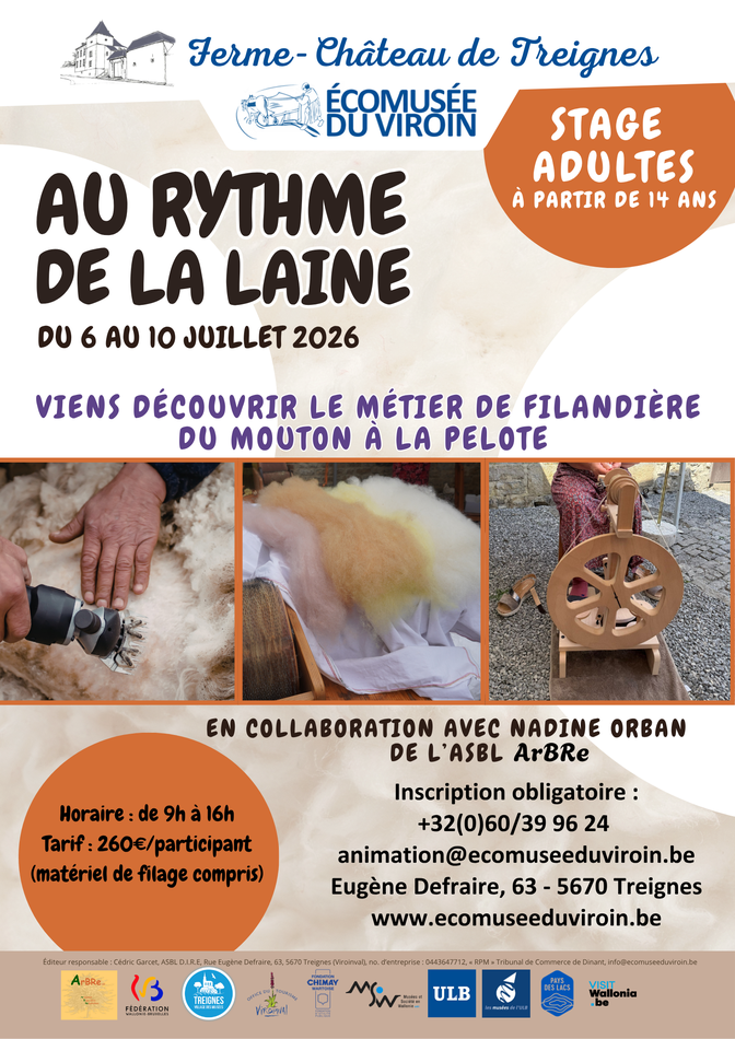 Affiche Stage de laine 