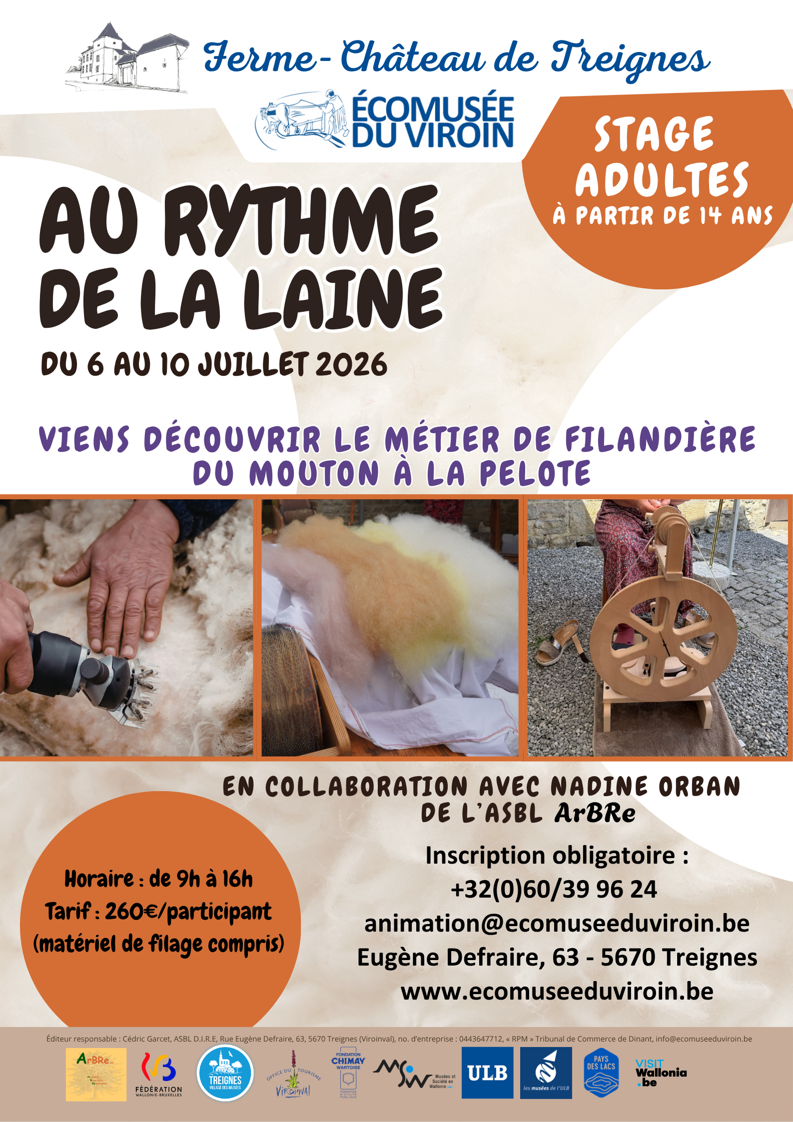 Affiche Stage de laine 