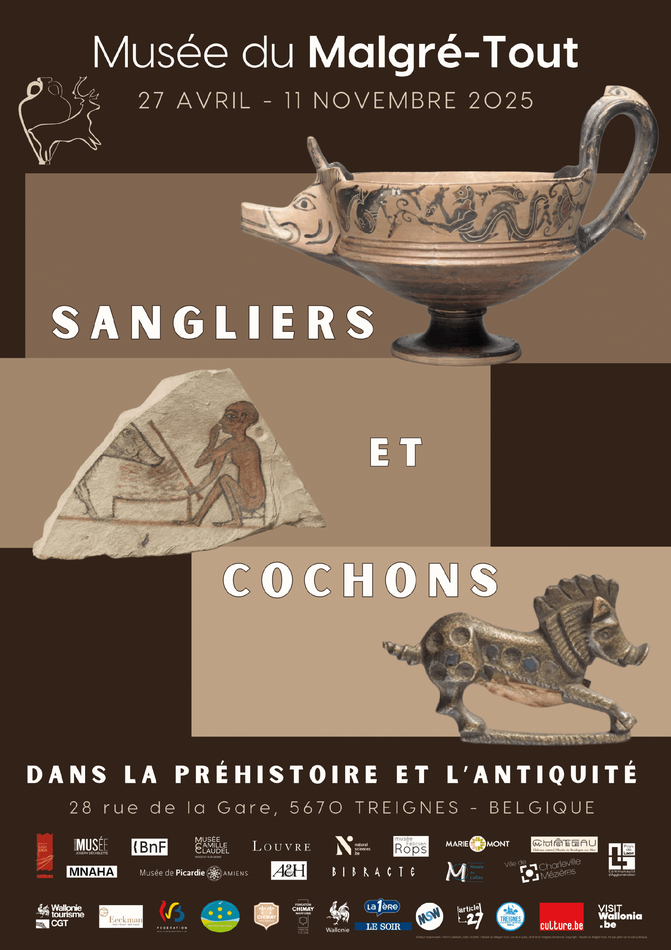 sanglier affiche