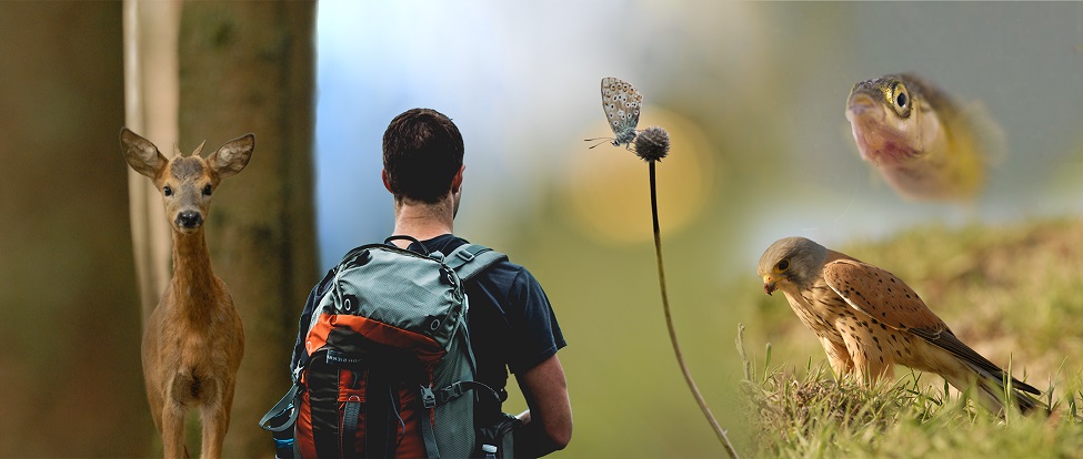 Cercles des Naturalistes de Belgique Image 