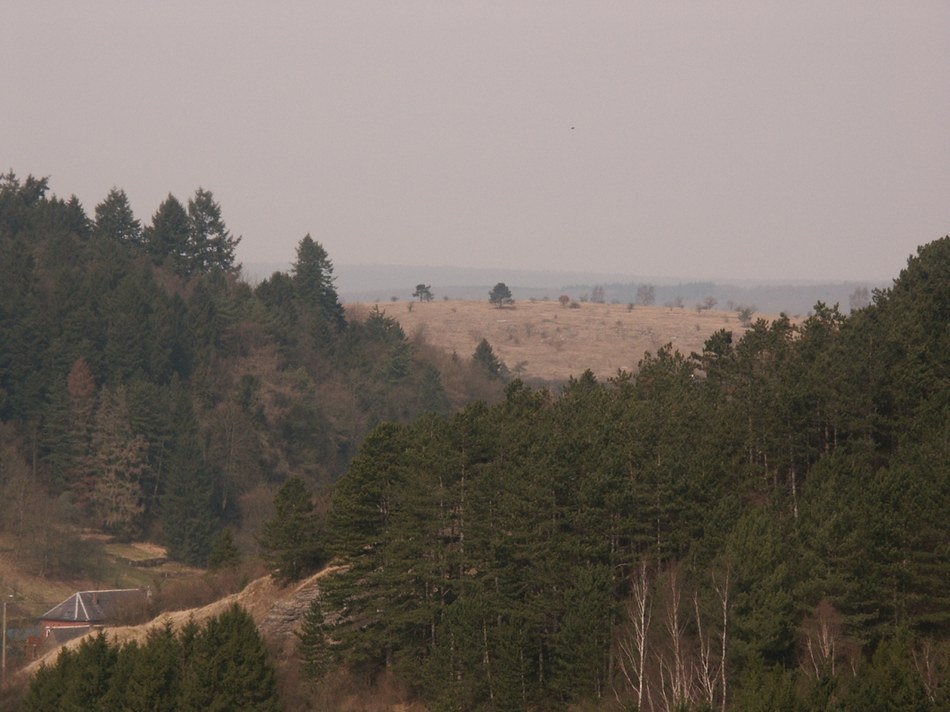 PICT0016