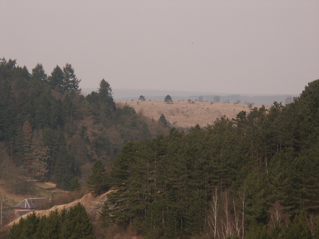 PICT0016