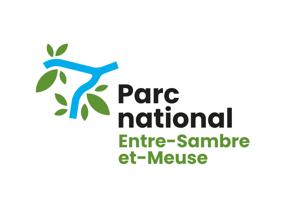 PN ESEM