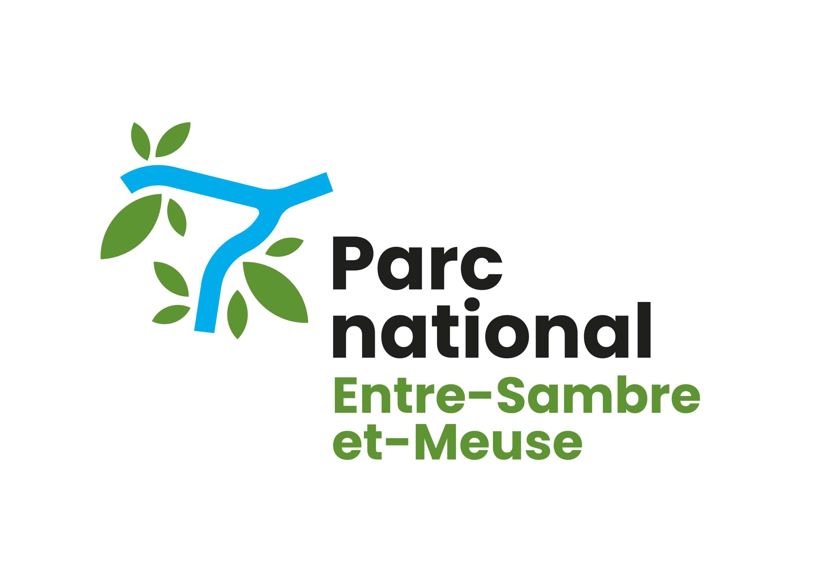 PN ESEM