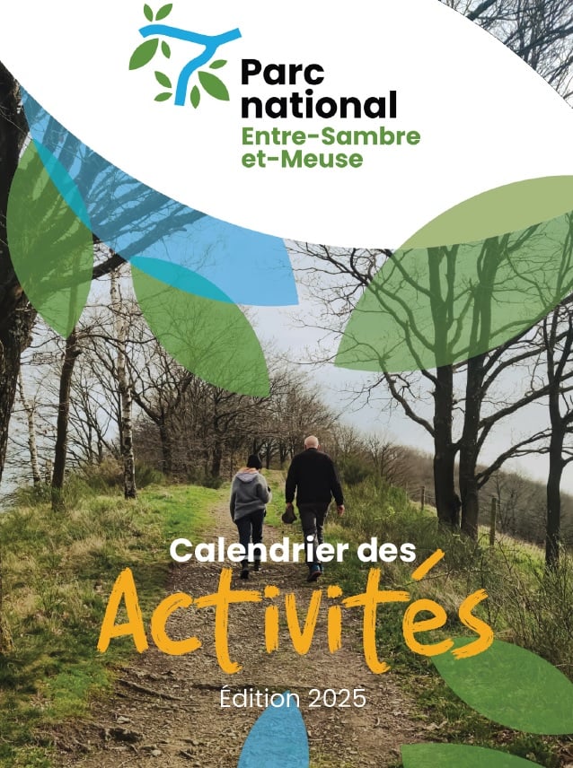 PNESEM   Calendrier des activités 2025