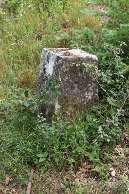 A008 LE MESNIL (2)