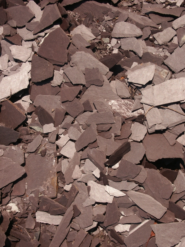 A009 OIGNIES (1)