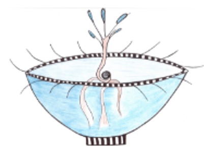 poterie le Bol d'air