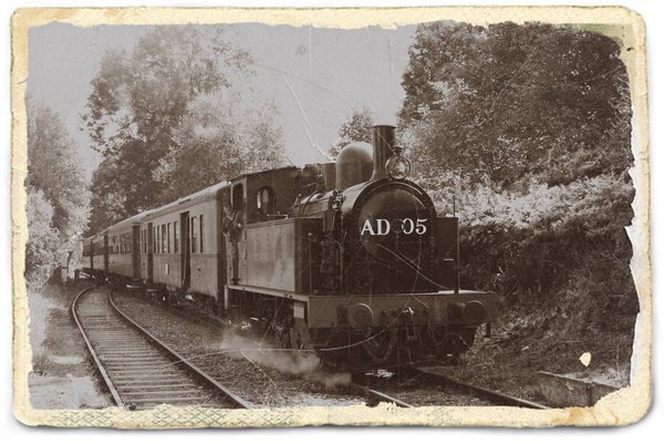 B029d