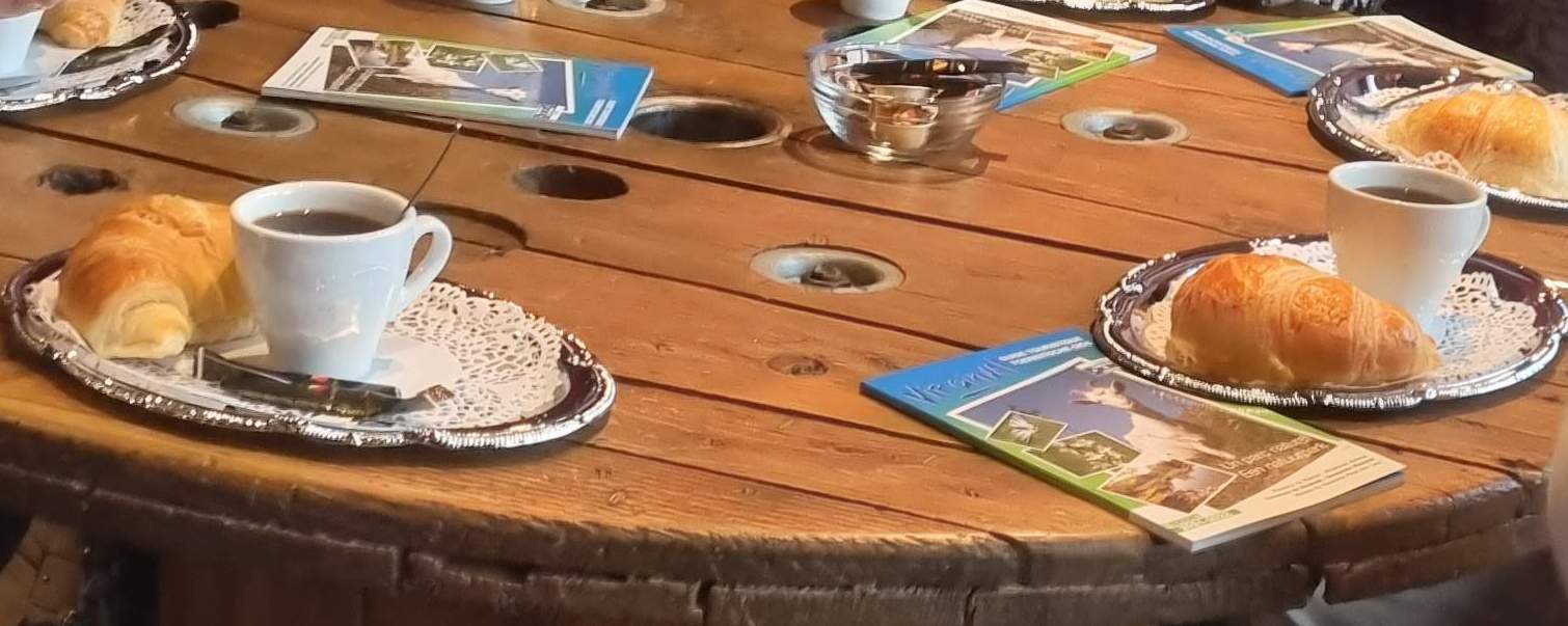Journée champêtre (4)