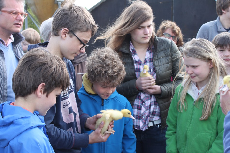 NL 2025 Programme 5