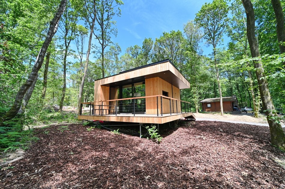 68d Forest Cube