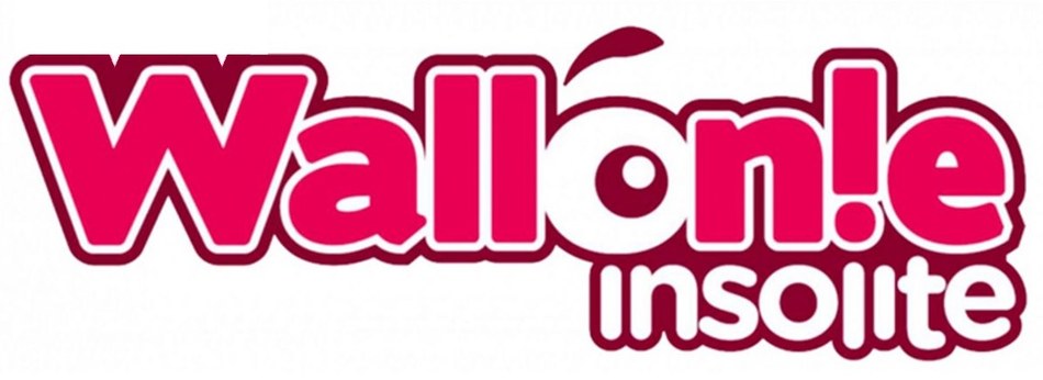Logo Wallonie Insolite