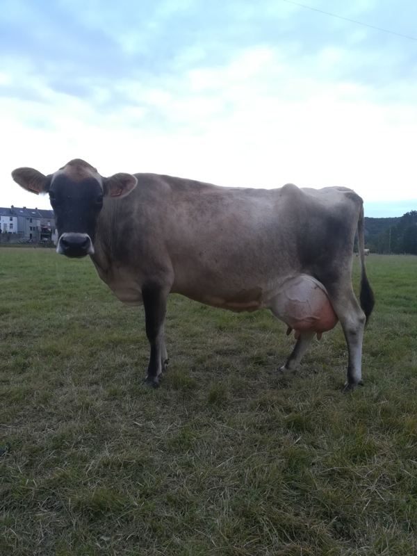 83d La Ferme Saint Roch