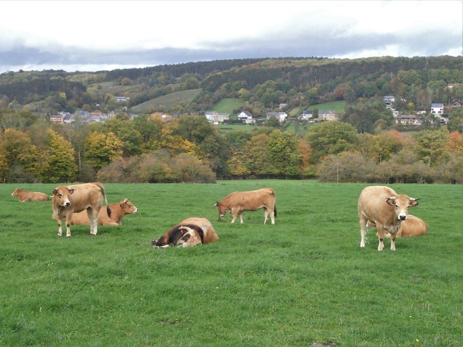 Ferme de la Jussière 2