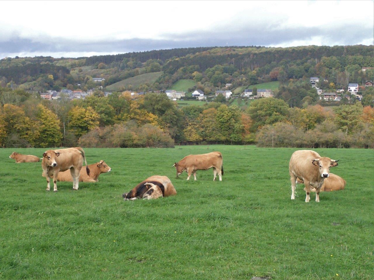 Ferme de la Jussière 2