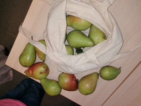 Image7
