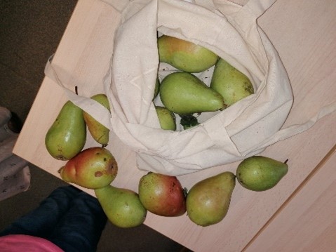 Image7