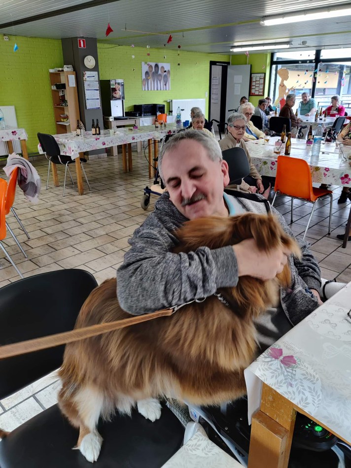 MR Bénéf chien