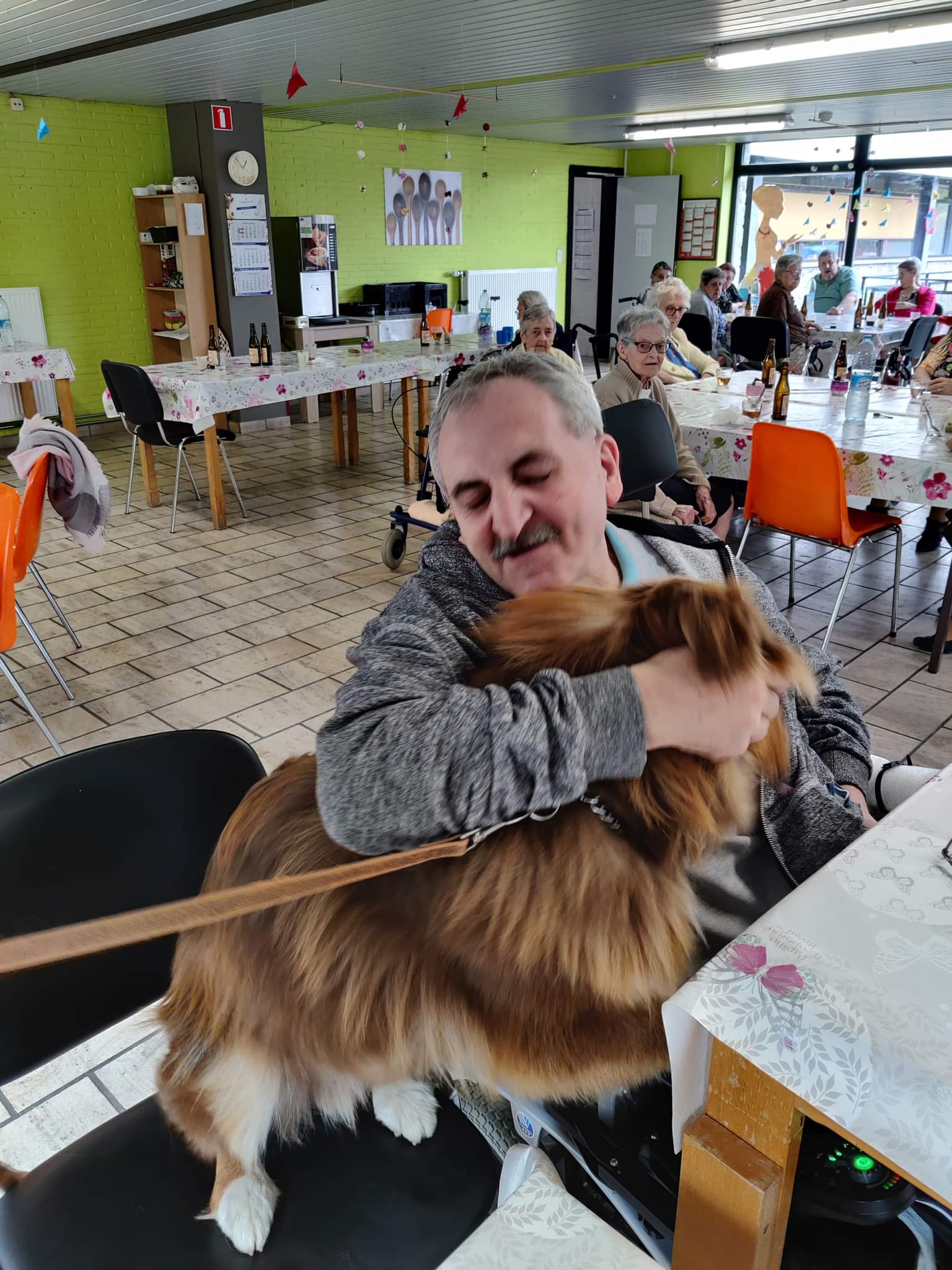 MR Bénéf chien