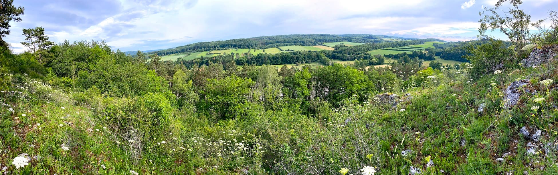 pano3web