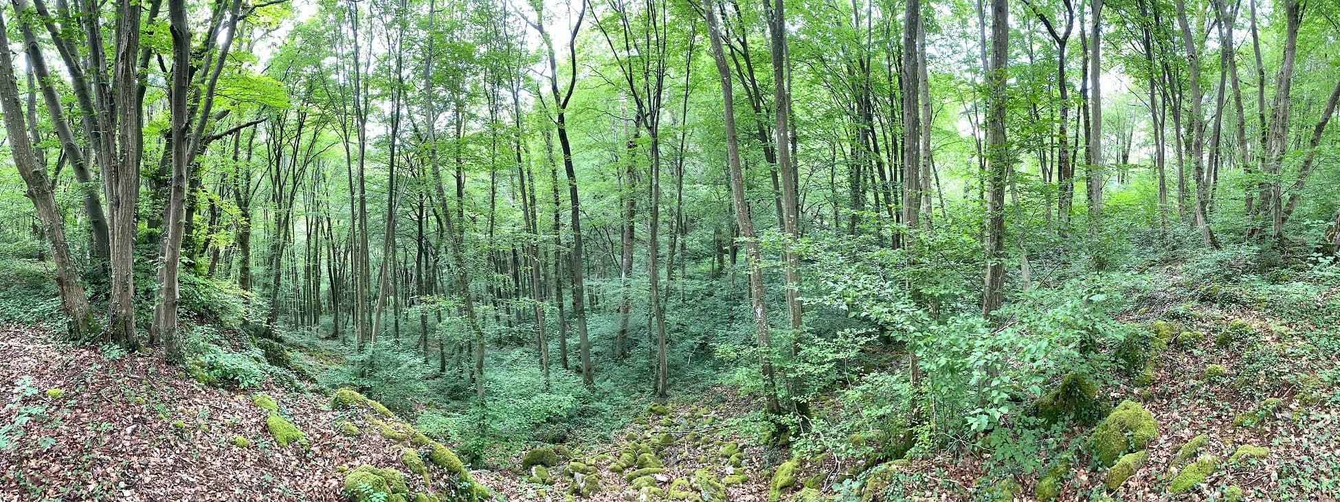 Pano5web