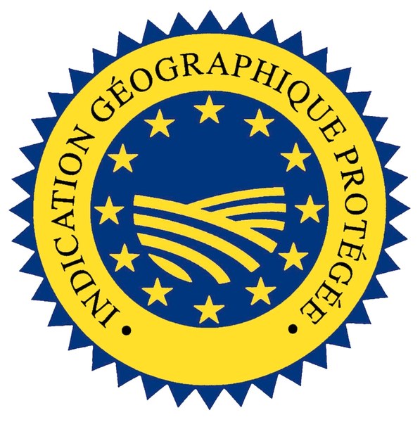 Logo IGP