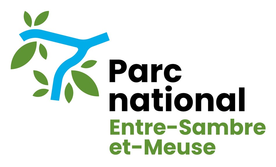 21a logo 1 PNESEM 2025