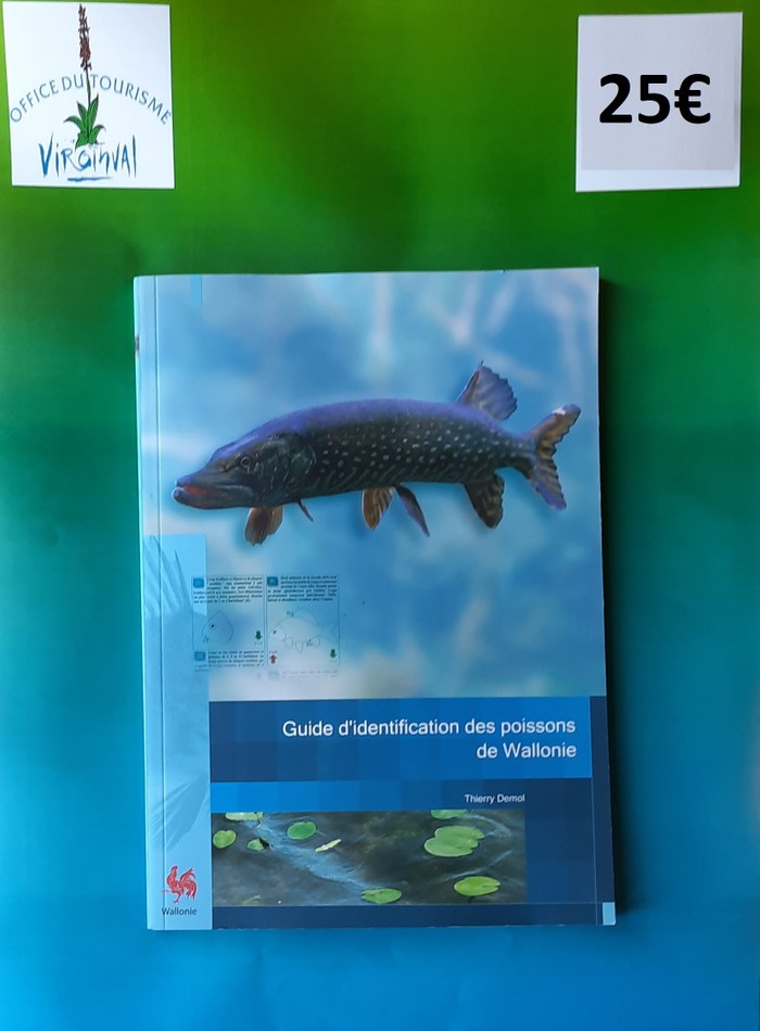 049 guide identification poissons