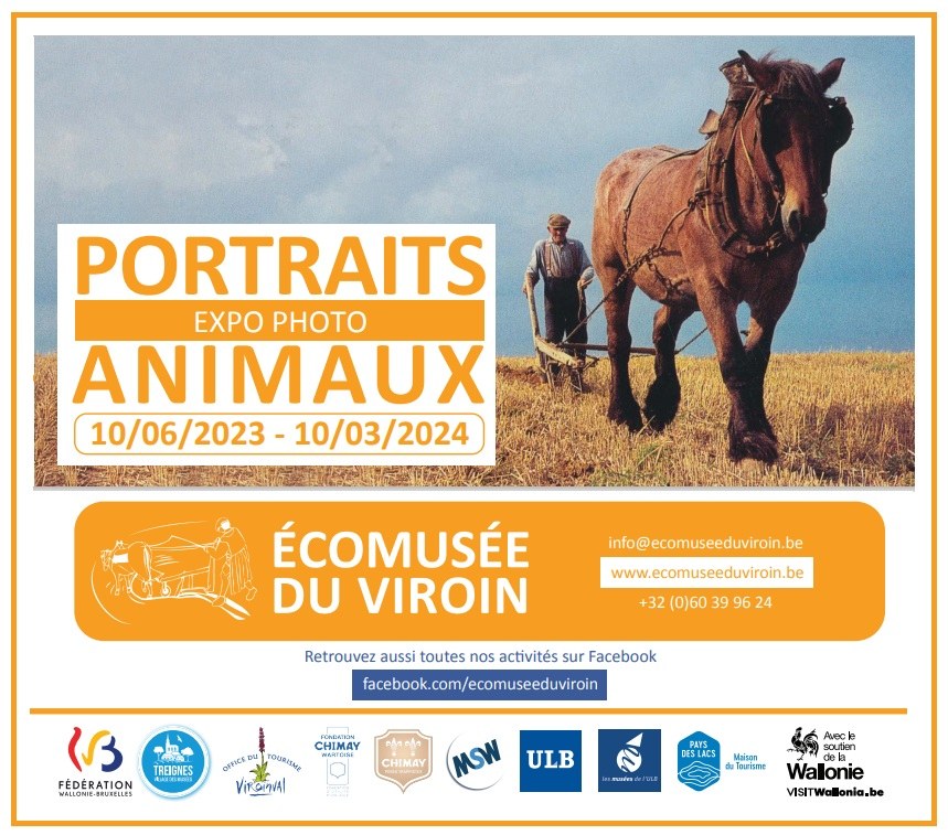 23 06 10 Portraits animaux