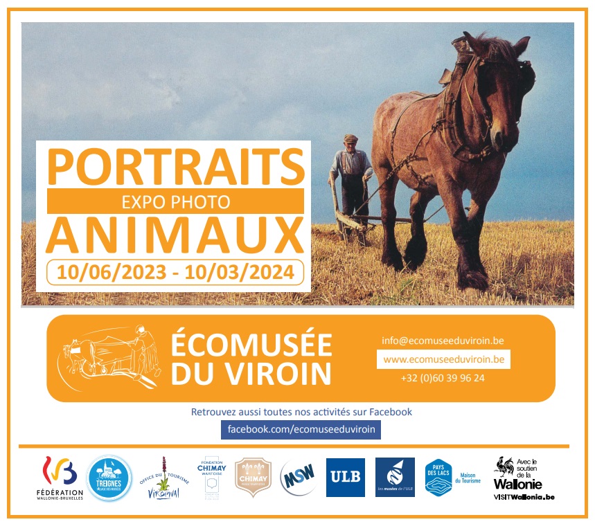 23 06 10 Portraits animaux