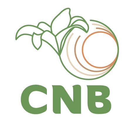 Nieuwsafbeelding - klik om de volledige afbeelding te bekijken
